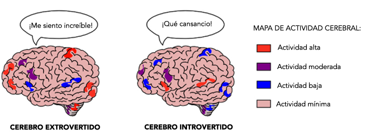 cerebro